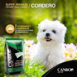 Canbo  Dog Perro Cachorro Cordero Razas Pequeñas + Regalo. - Imagen 2