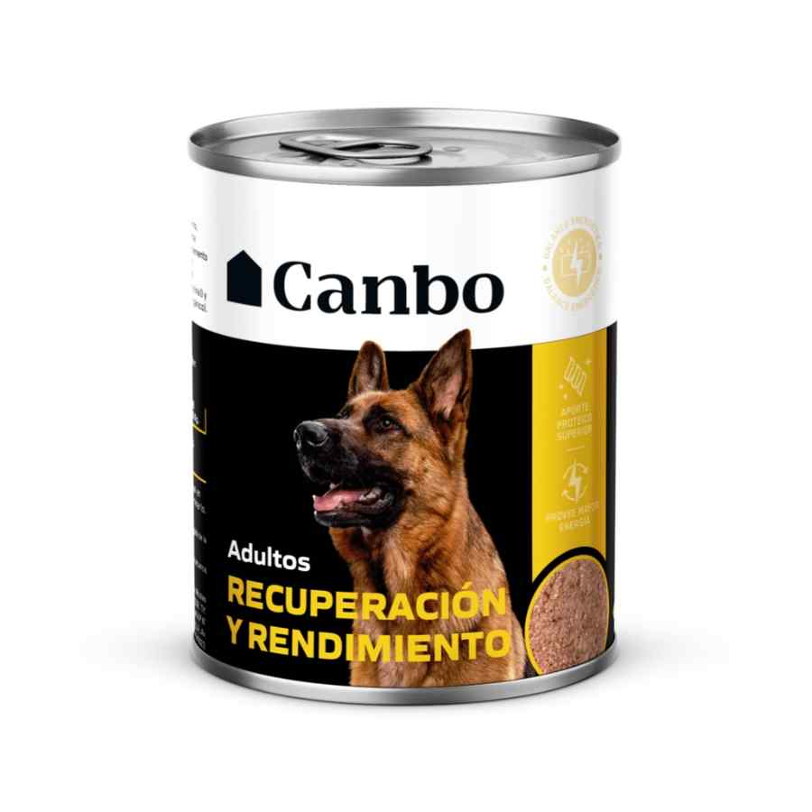 Canbo Enlatado Energético 1 Canbo Dog Perros Adultos Recuperación y Rendimiento Lata 330 grs. - Imagen 1