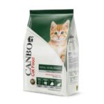 Canbo Cat Gatitos desarrollo inicial