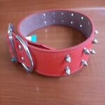 Collar púas para perro mediano o grande.